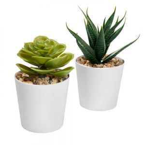SET DE PLANTAS ALISO personalizada